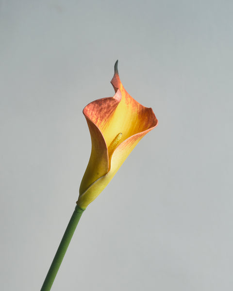 Artificial Flower - Calla Lily