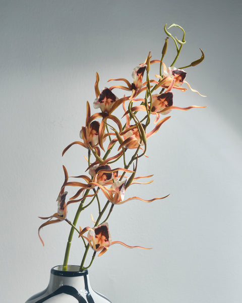 Artificial Flower - Rodriguezia Orchid