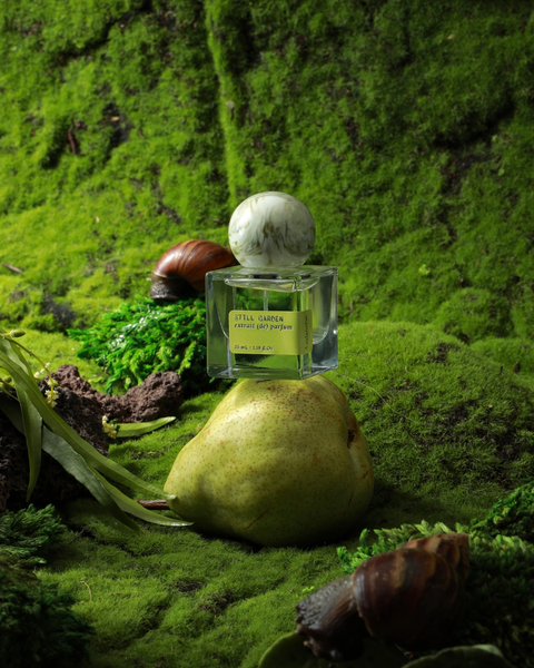 Avalanche Fragrance