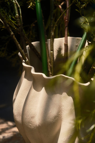 Cove Vase