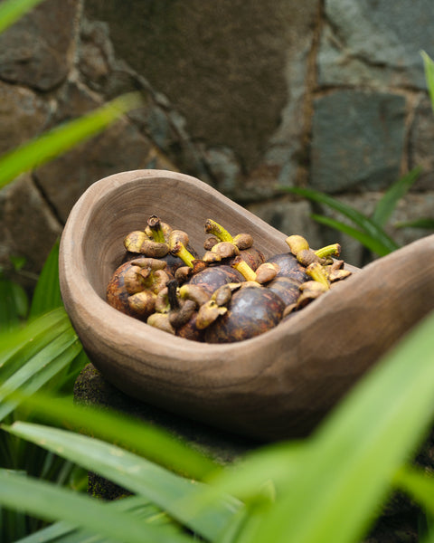 Palawan Wooden Bowl