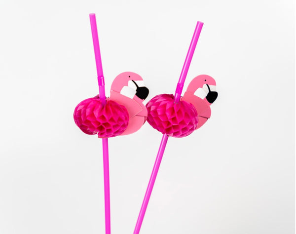 Carlota Straws (Flamingo)