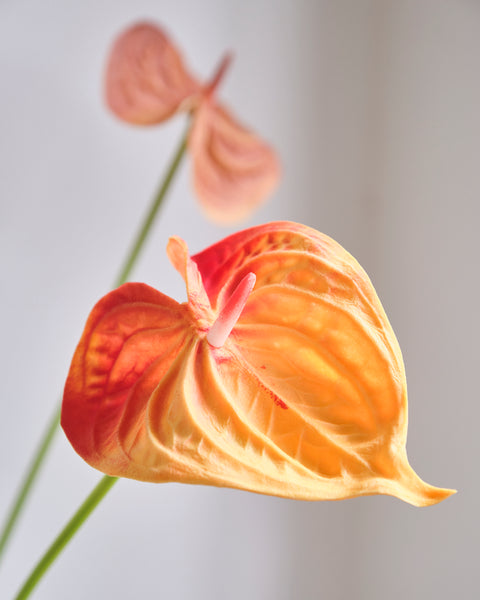 Artificial Flower - Anthurium