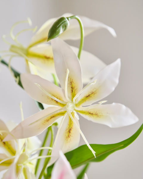 Artificial Flower - Flame Lily (Short)