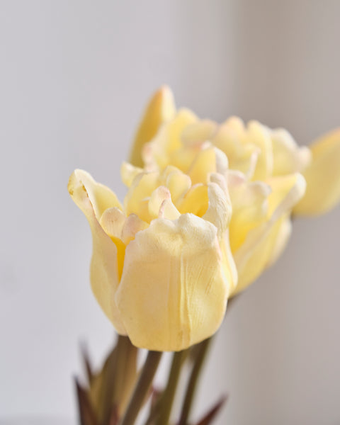 Artificial Tulip Flower