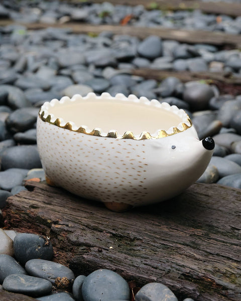Hedgehog Family Trinket Bowls (each sold separately)