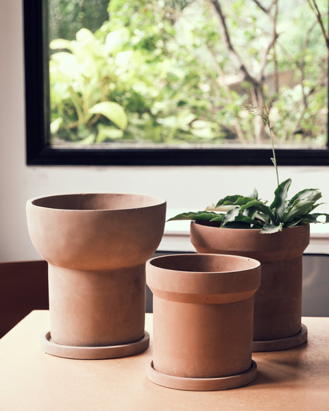 Mario Plant Pot