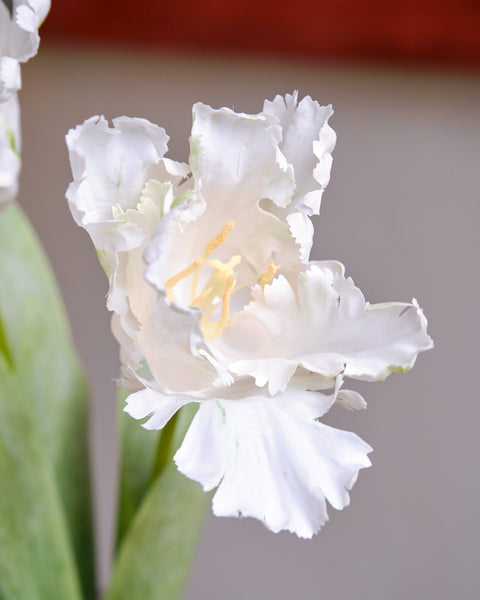 Artificial Flower - Parrot Tulip