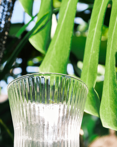 Costa Funnel Glass