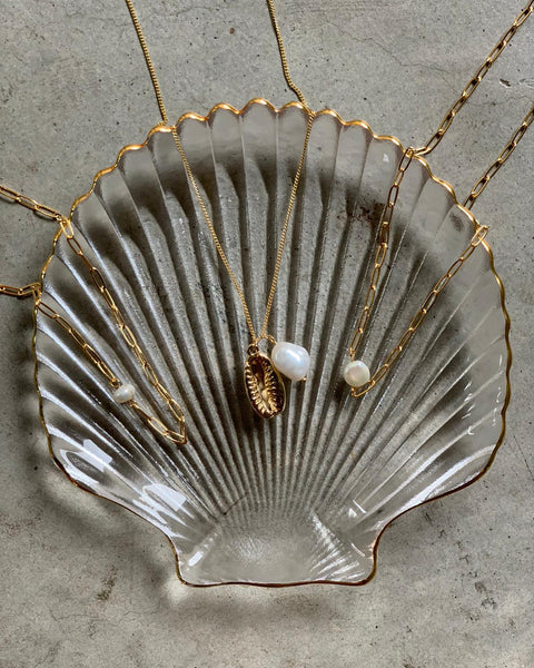 Shell Glass Dish