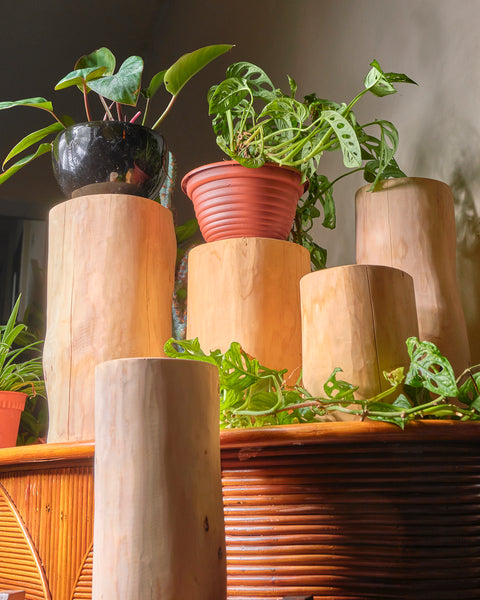 Wooden Stump - Small