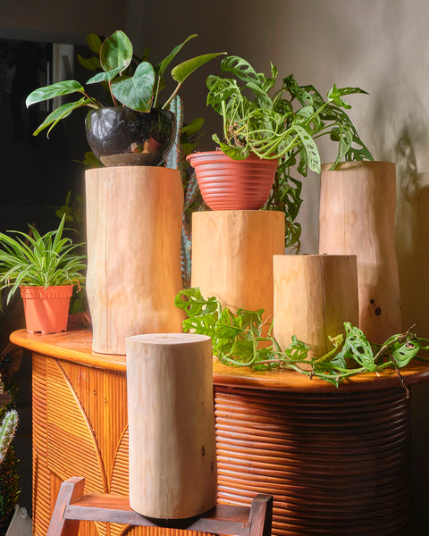 Wooden Stump - Small